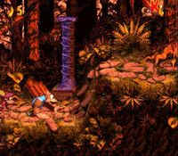 Donkey Kong Country 3 sur Nintendo Super Nes